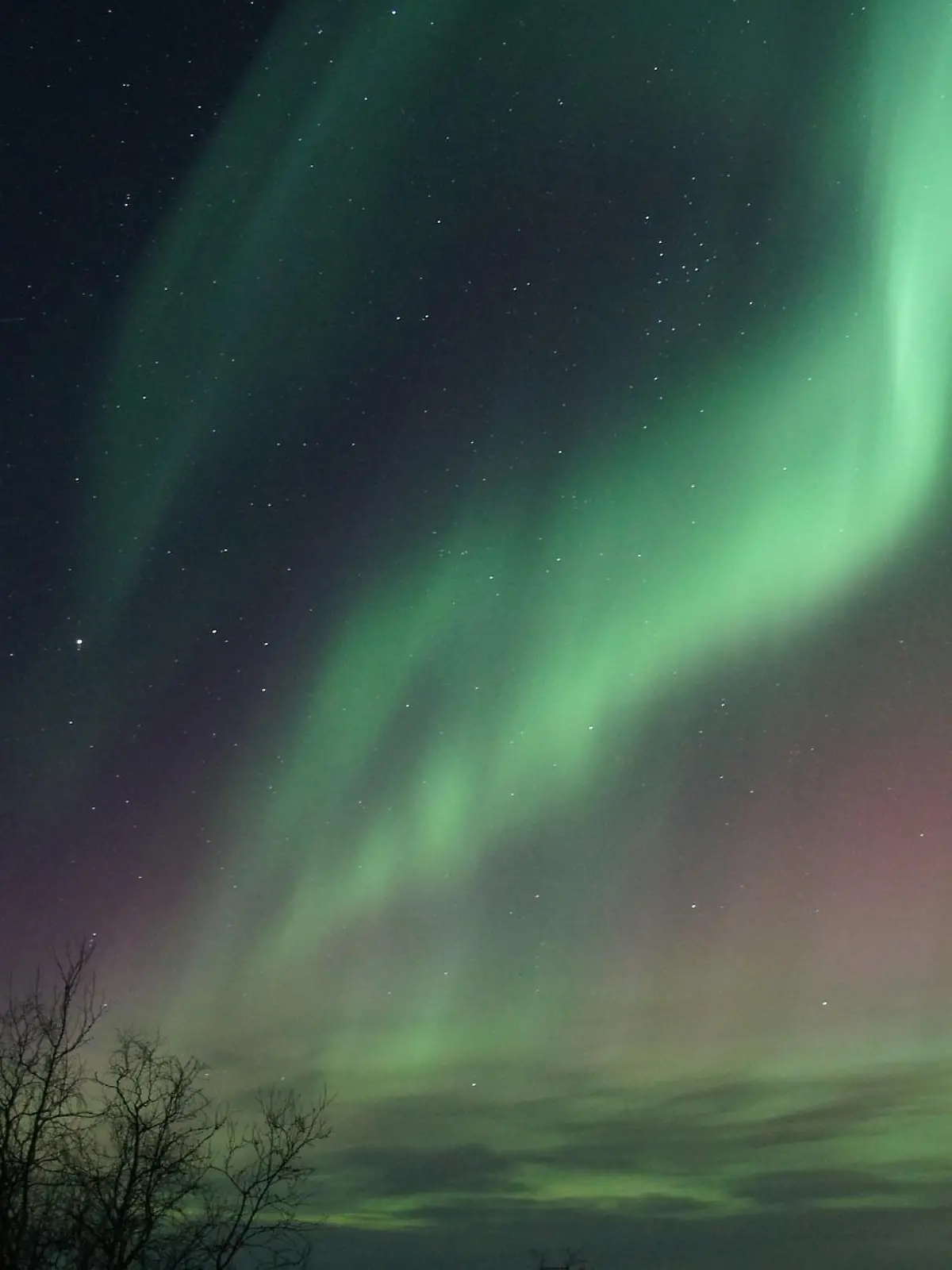 Polarlichter sind zwar selten in Norddeutschland zu sehen, aber wenn sie sich zeigen, ist es ein beeindruckendes Spektakel. (Symbolbild)