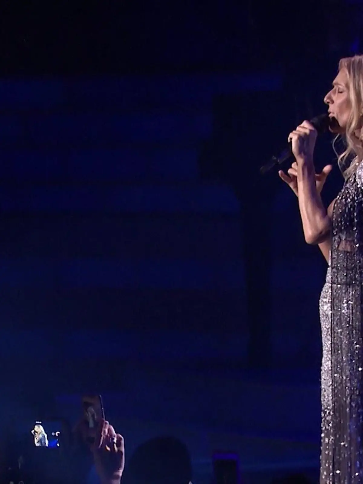 Celine Dion nimmt Abschied von Las Vegas