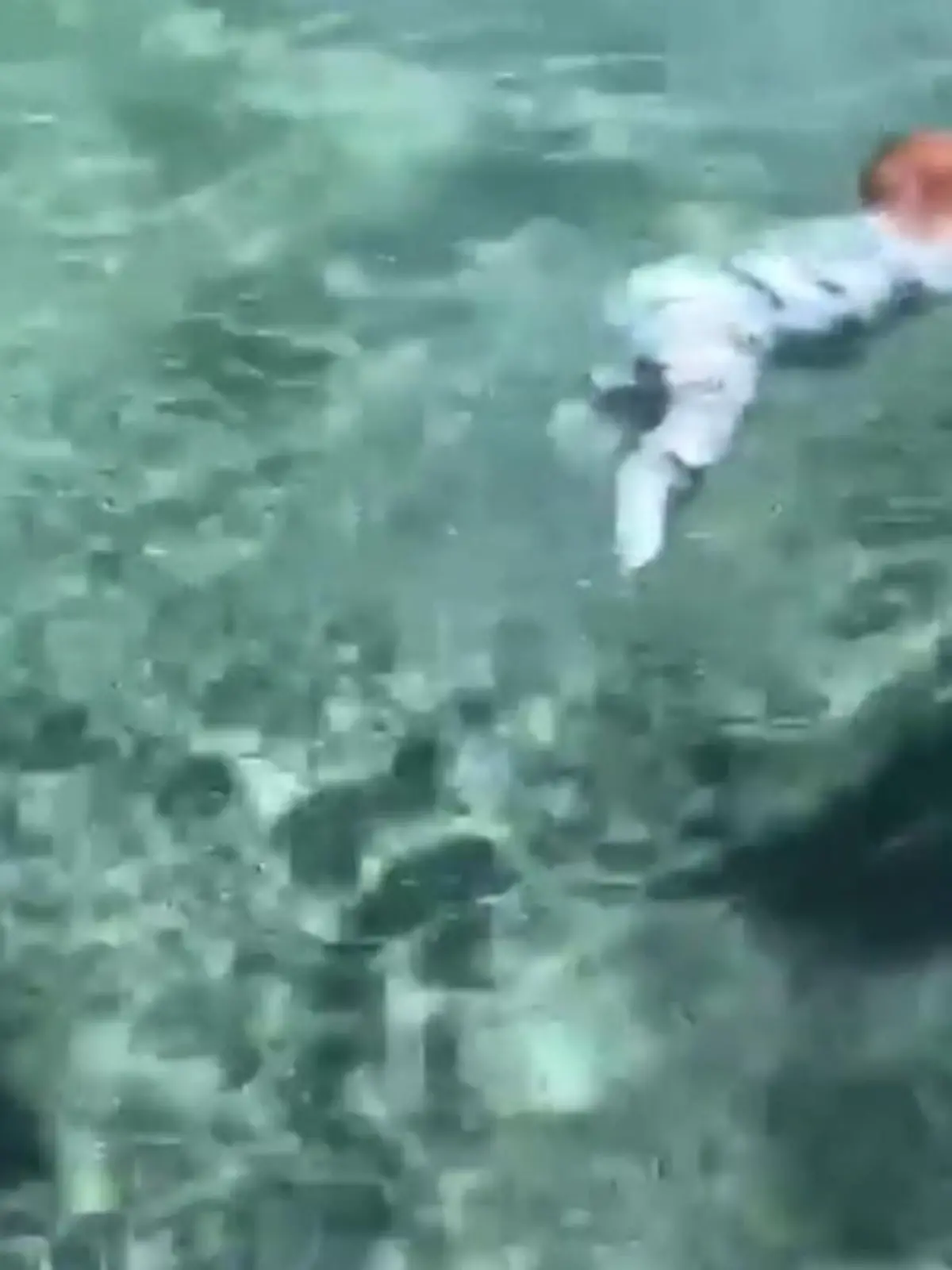 Bild zu: "8-Monate altes Baby lernt schwimmen"