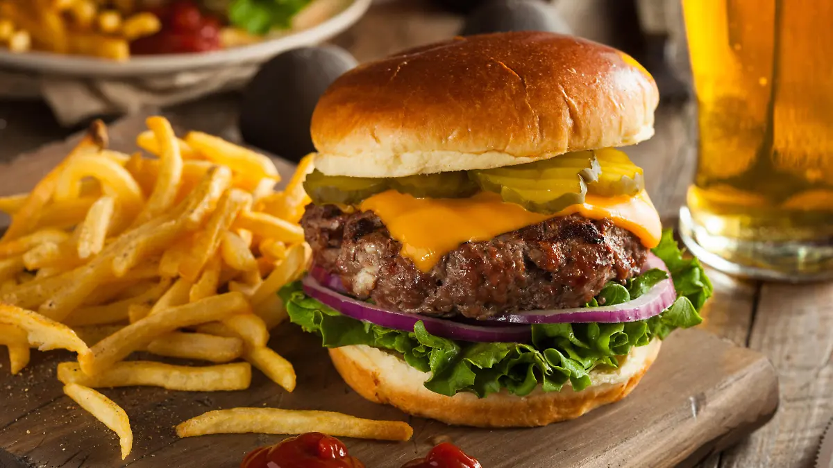 Grass Fed Bison Hamburger with Lettuce and Cheese