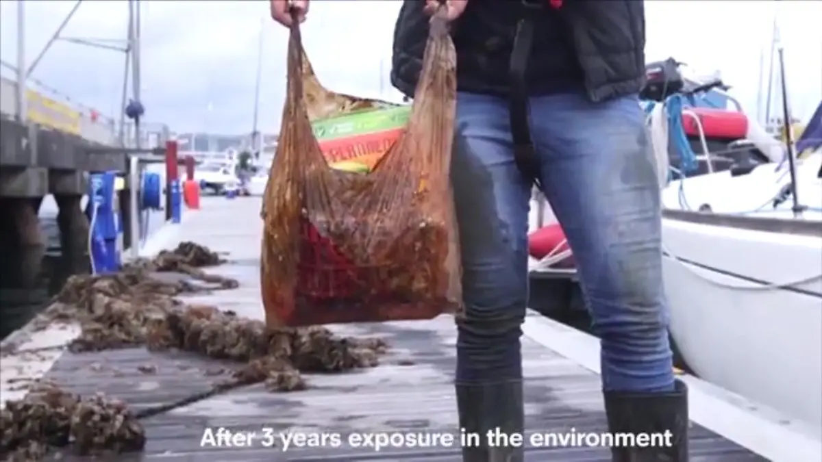 Von wegen abbaubare Plastiktüten Forscher machen den Test