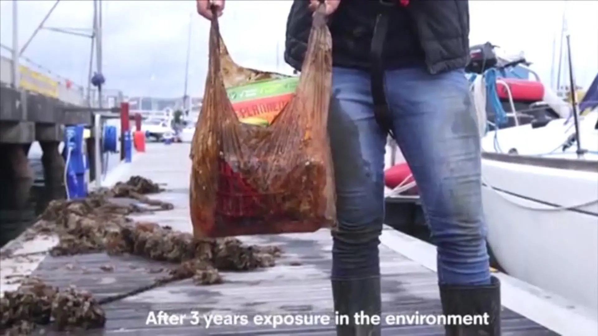 Von wegen abbaubare Plastiktüten Forscher machen den Test