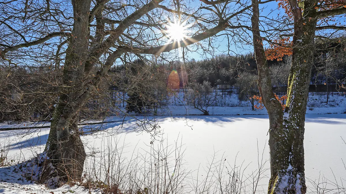 Eiszeit, Frostige Temperaturen, Dauerfrost im Siegerland, der zugefrorene Buescher Büscher Weiher wird von der Sonne vom wolkenlosen Himmel angestrahlt Winter im Siegerland am 11.02.2021 in Freudenberg/Deutschland. *** Ice age, frosty temperatures, permafrost in the Siegerland, the frozen Buescher Büscher pond is illuminated by the sun from the cloudless sky winter in the Siegerland on 11 02 2021 in Freudenberg Germany