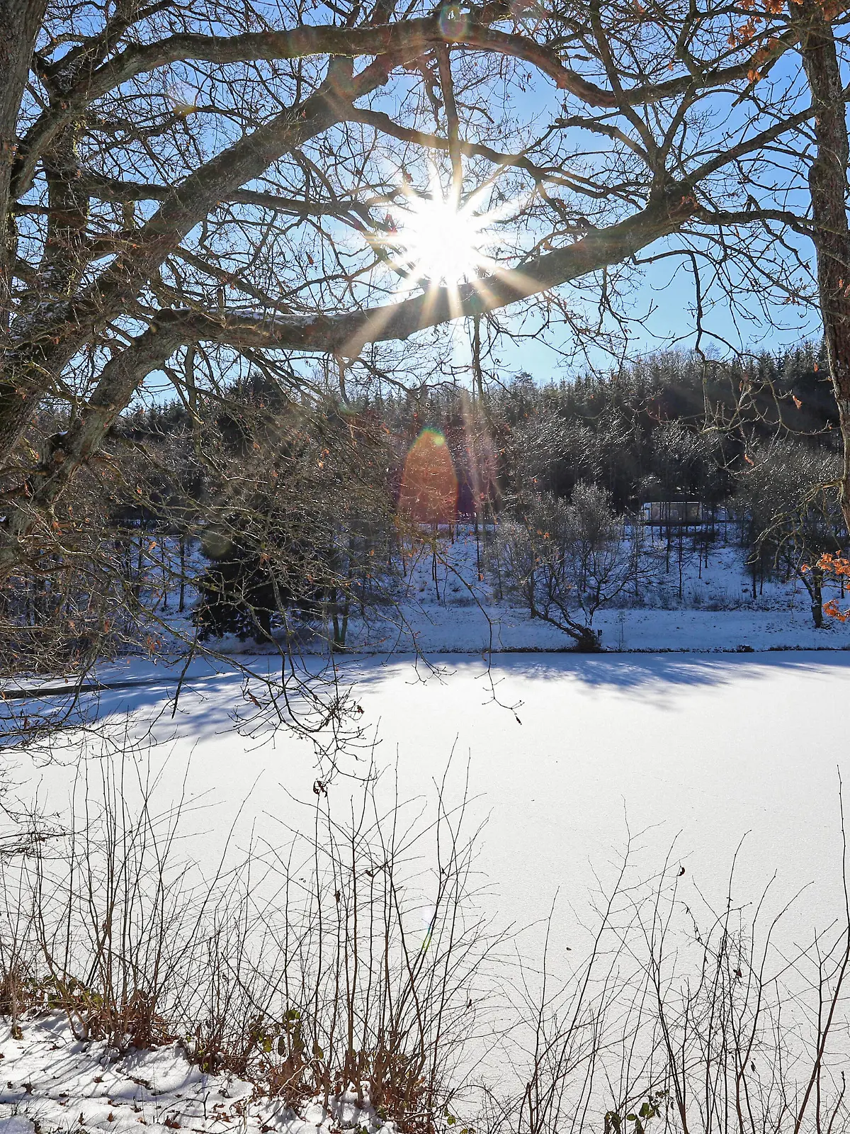  Eiszeit, Frostige Temperaturen, Dauerfrost im Siegerland, der zugefrorene Buescher Büscher Weiher wird von der Sonne vom wolkenlosen Himmel angestrahlt Winter im Siegerland am 11.02.2021 in Freudenberg/Deutschland. *** Ice age, frosty temperatures, permafrost in the Siegerland, the frozen Buescher Büscher pond is illuminated by the sun from the cloudless sky winter in the Siegerland on 11 02 2021 in Freudenberg Germany