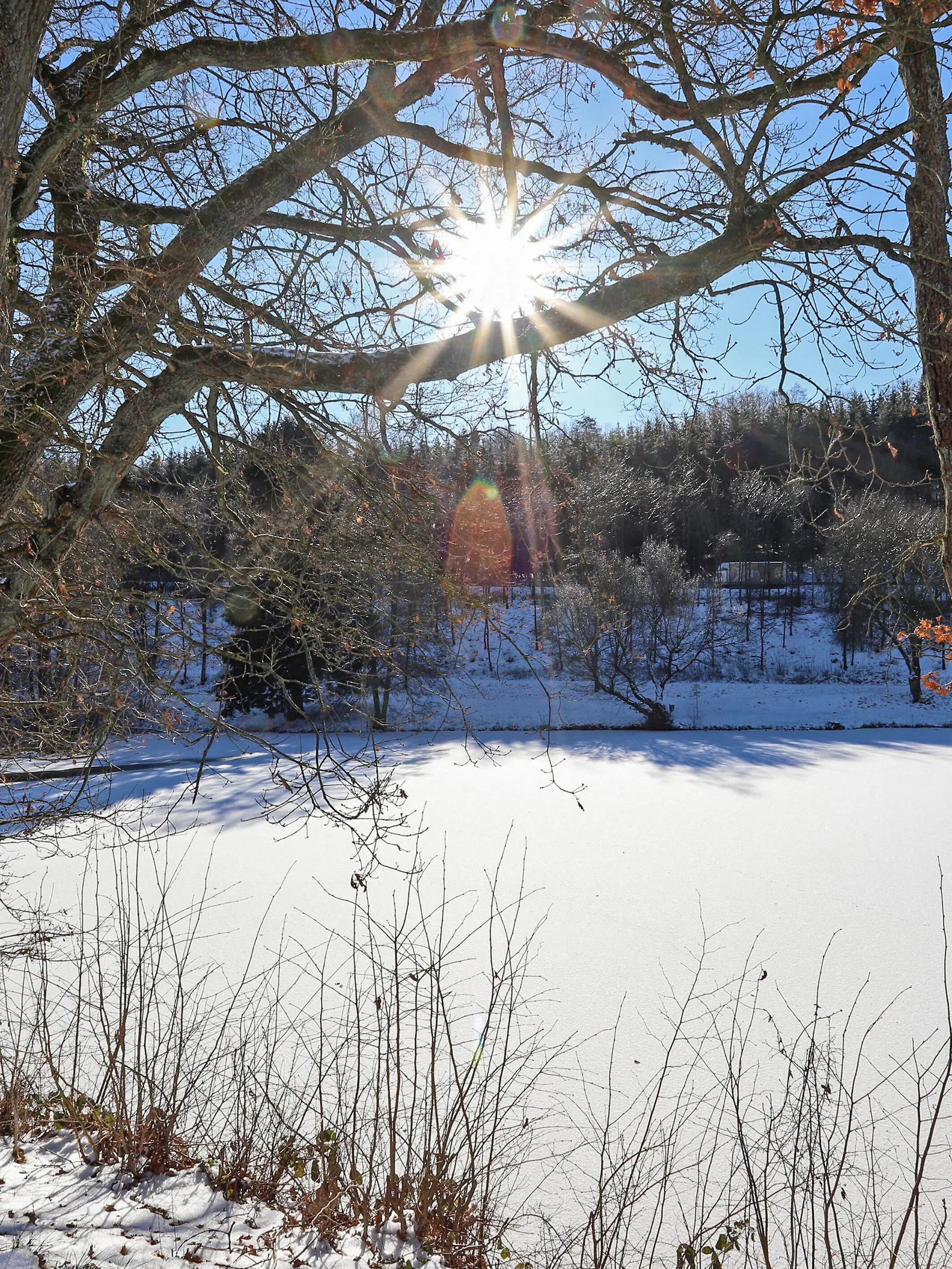  Eiszeit, Frostige Temperaturen, Dauerfrost im Siegerland, der zugefrorene Buescher Büscher Weiher wird von der Sonne vom wolkenlosen Himmel angestrahlt Winter im Siegerland am 11.02.2021 in Freudenberg/Deutschland. *** Ice age, frosty temperatures, permafrost in the Siegerland, the frozen Buescher Büscher pond is illuminated by the sun from the cloudless sky winter in the Siegerland on 11 02 2021 in Freudenberg Germany