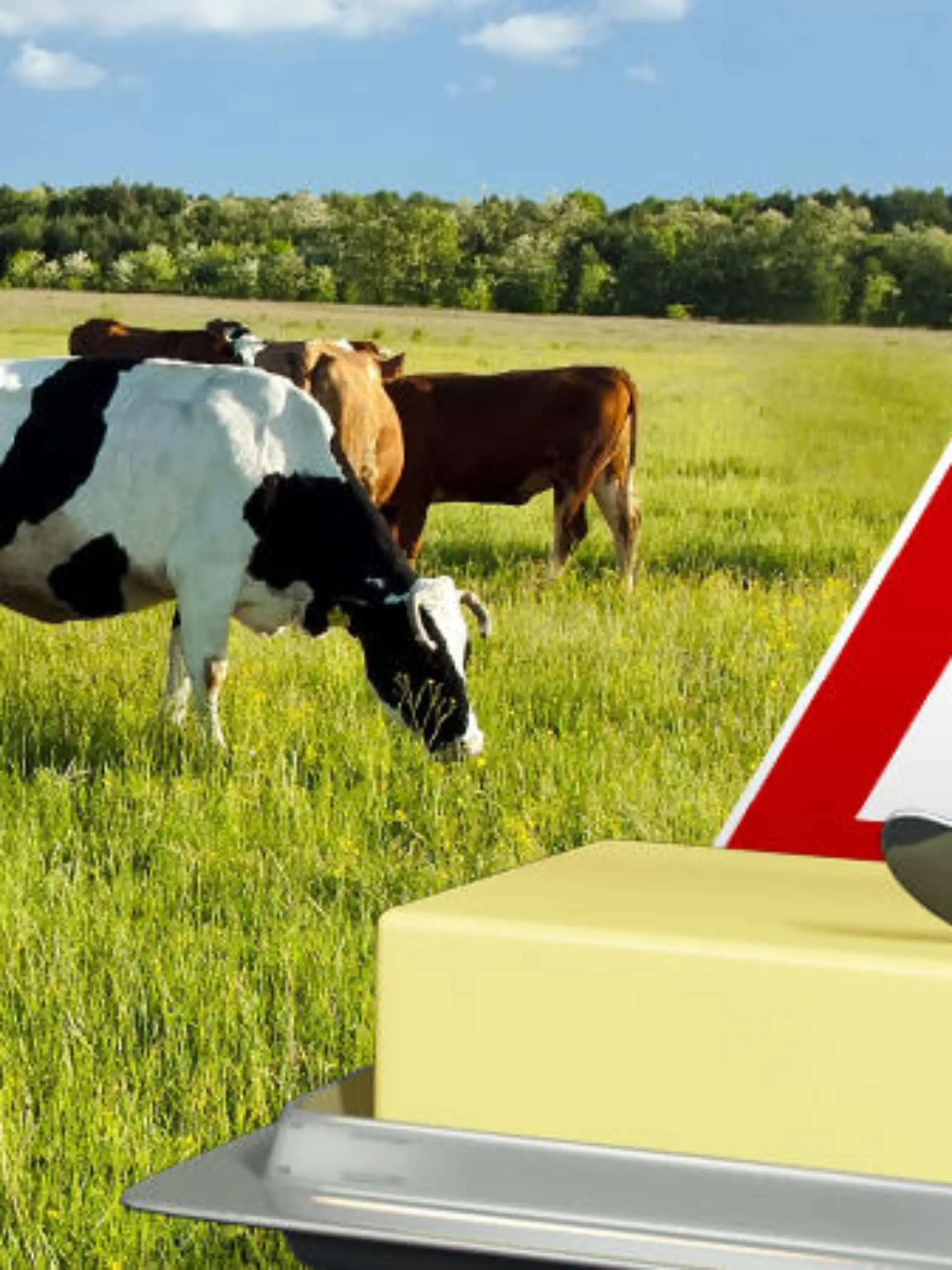 Butter ist ein Klimakiller