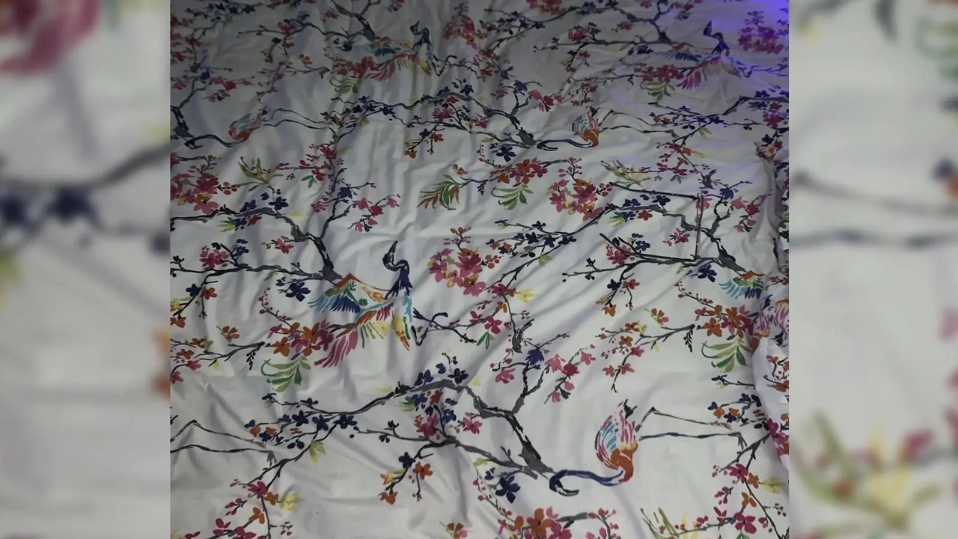 Optische Täuschung Suchbild Brille auf Bett