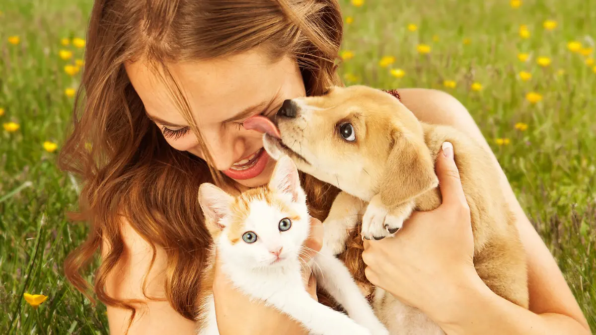 Frau kuschelt mit Hund und Katze