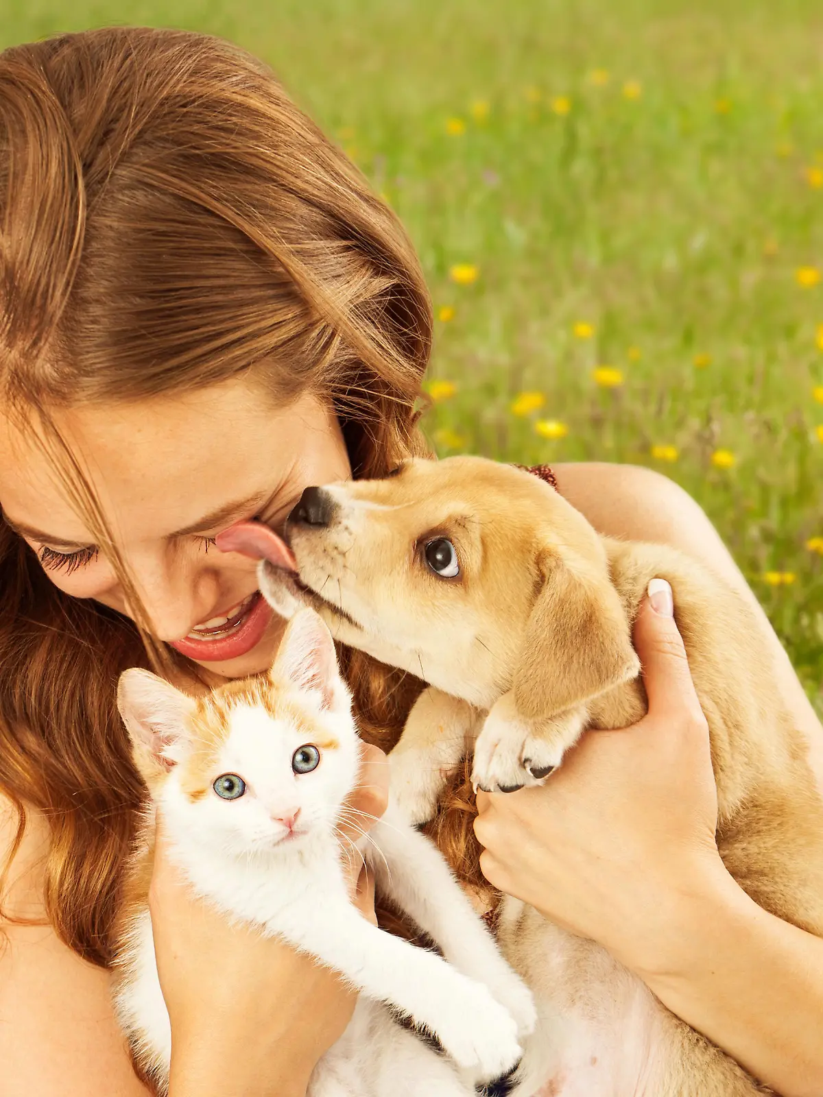 Frau kuschelt mit Hund und Katze