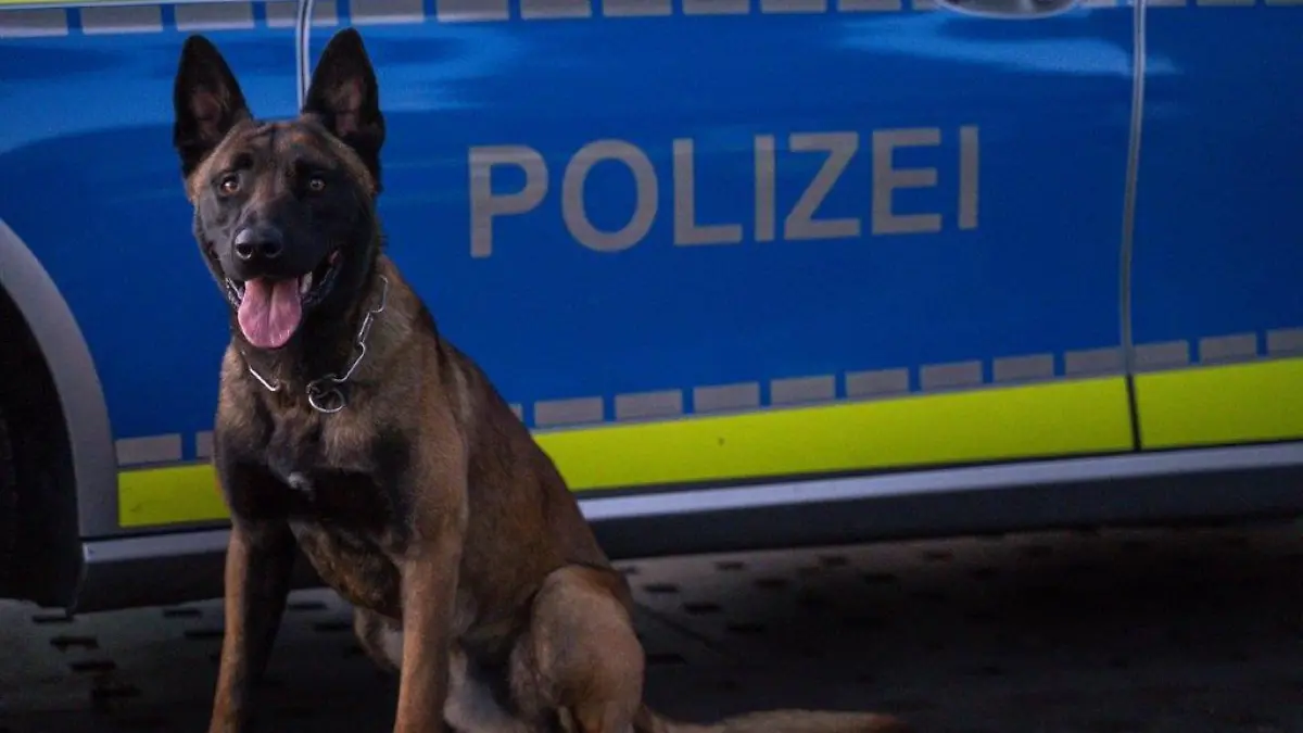 Der Mann stach dem Hund in den Kopf und in den Hals.