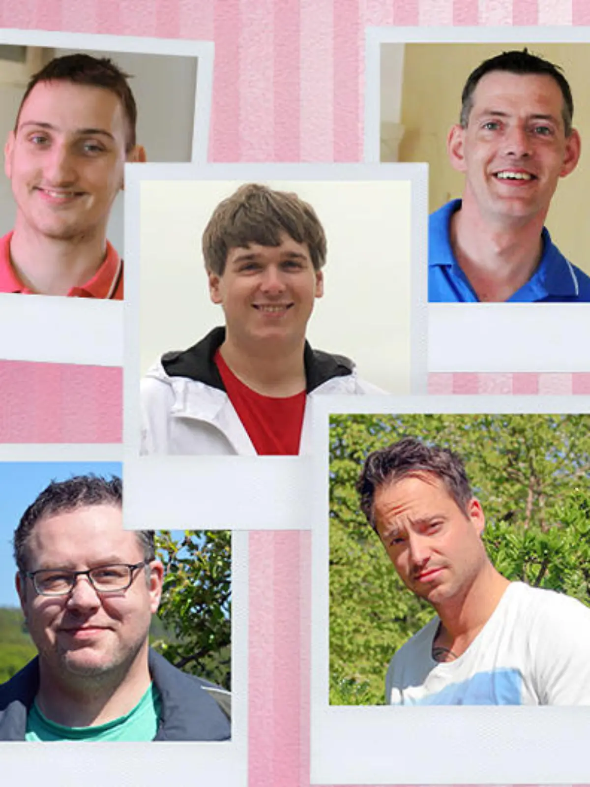 collage schwiegertochter junggesellen