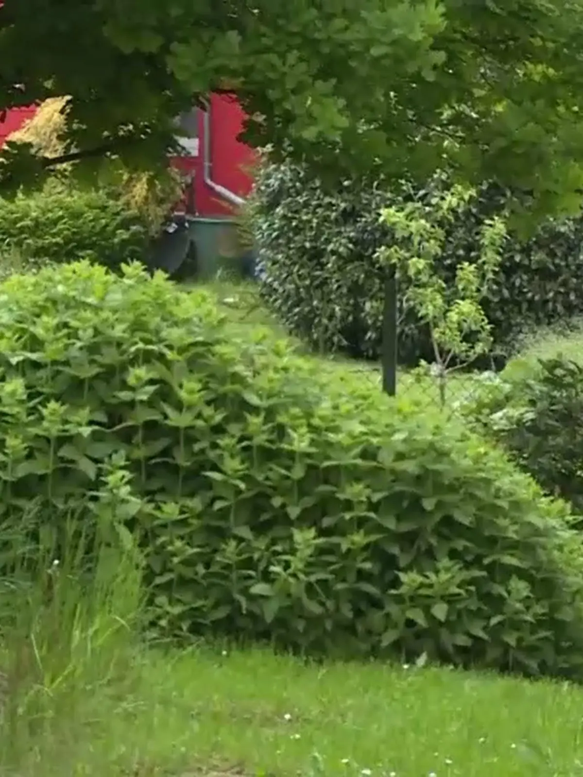 Hinter diesem Haus sollen die beiden Jungen tot entdeckt worden sein.