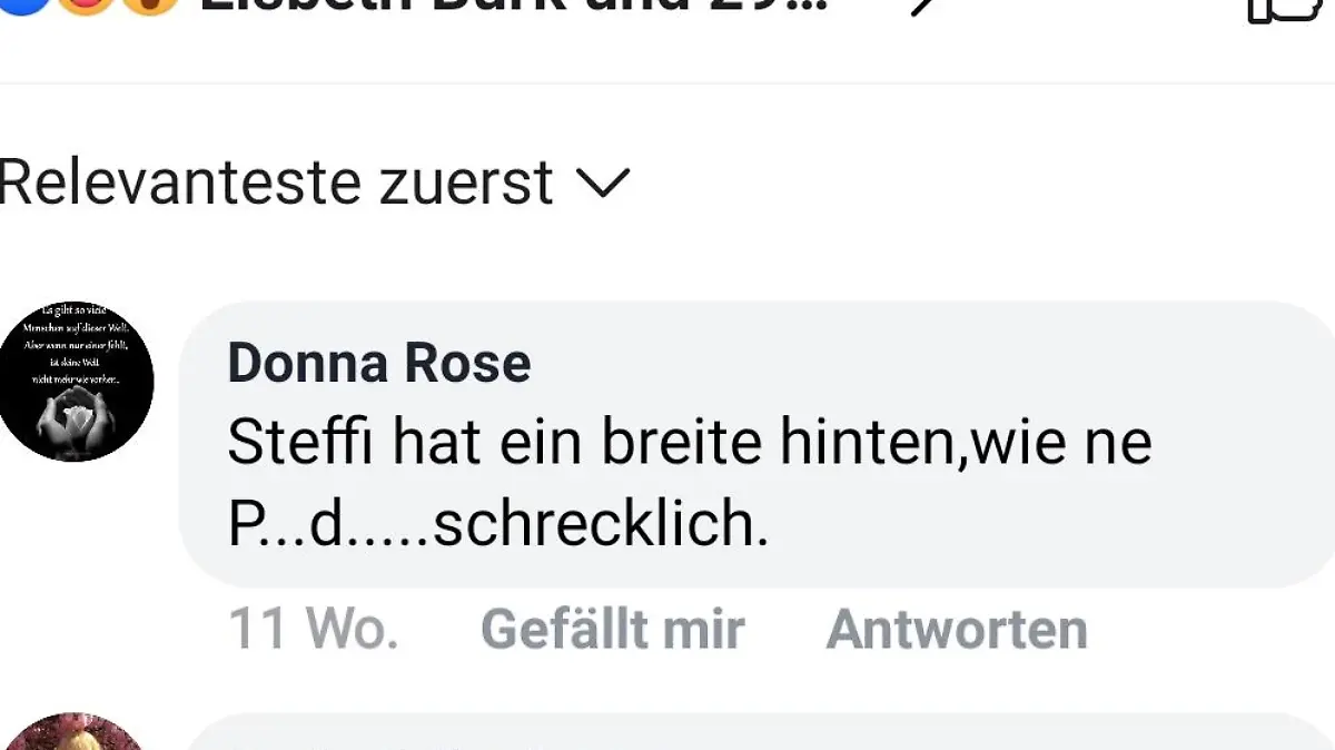 Madeleine Krakor Hater-Kommentar