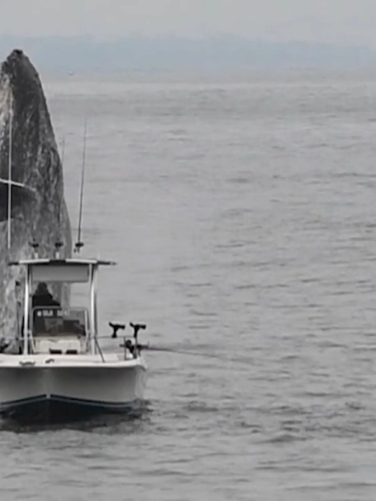 Bild zu: "Buckelwal springt neben Boot aus dem Wasser"
