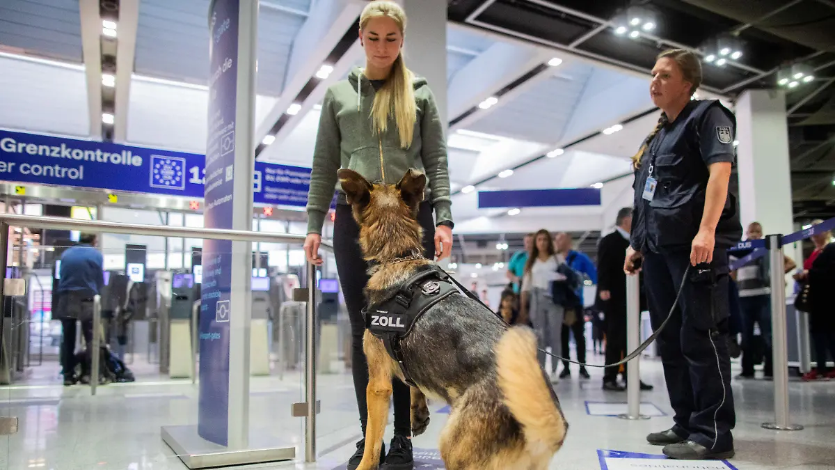 09.05.2019, Nordrhein-Westfalen, Düsseldorf: Zollhund Luke erschnüffelt neben Hundeführerin Sabine Mohren (r) an Lockvogel Julia Janßen am Flughafen einen hohen Bargeldbetrag. Luke kann Bargeld erschnüffeln. In seinem ersten Dienstjahr hat er schon 745 000 Euro erschnüffelt. Der Deutsche Schäferhund ist auf Euro, Dollar und britische Pfund spezialisiert. Foto: Rolf Vennenbernd/dpa +++ dpa-Bildfunk +++