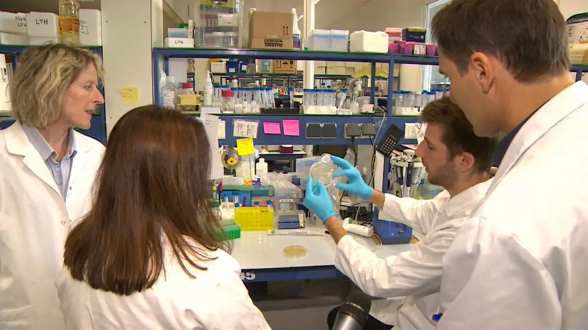 Fanden diese Forscher zufällig ein Antibiotikum? Ist es eine Sensation?