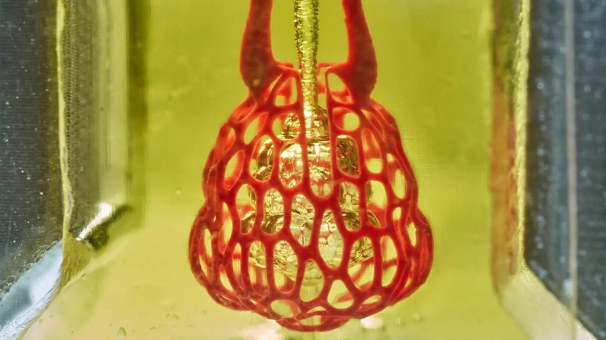 HANDOUT - 10.08.2018, USA, Houston: Das Bild zeigt ein Modell eines lungenähnlichen Luftsacks mit Atemwegen und Blutgefäßen. Amerikanische Biotechnologen haben mit einem neuen 3D-Druck-Verfahren weiche Blutgefäße und Luftwege wie in einer Lunge hergestellt. Sie konnten zeigen, dass die in sogenanntem Hydrogel gefertigten Strukturen in der Lage sind, Blut mit Sauerstoff anzureichern. Eine wichtige Rolle bei dem neuen Ansatz spielt der künstliche Farbstoff Tartrazin (E 102), wie die Gruppe um Jordan Miller von der Rice University in Houston in der Fachzeitschrift «Science» schreibt. Foto: Jordan Miller/Rice University/dpa - ACHTUNG: Nur zur redaktionellen Verwendung im Zusammenhang mit der aktuellen Berichterstattung und nur mit vollständiger Nennung des vorstehenden Credits +++ dpa-Bildfunk +++