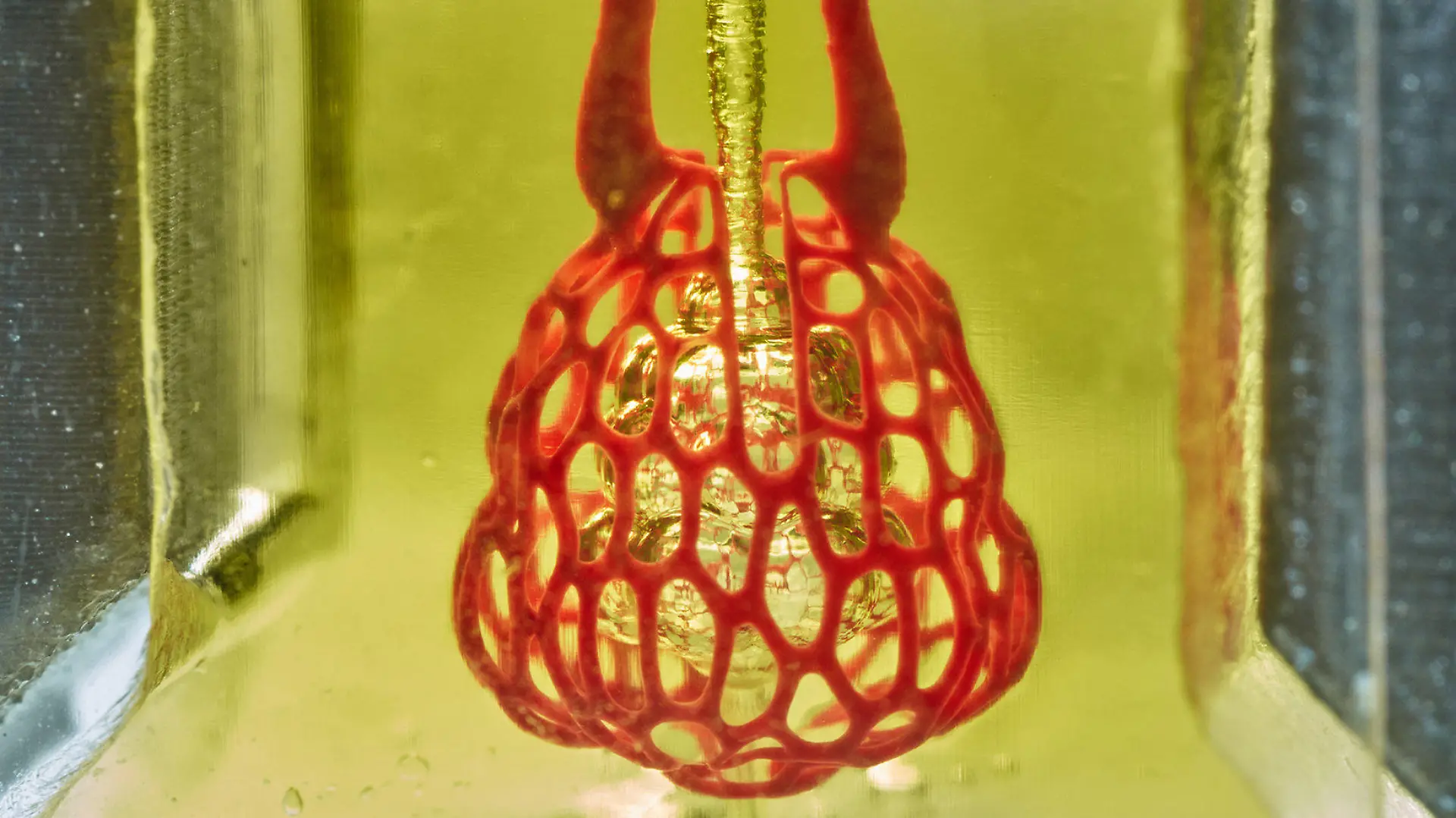 HANDOUT - 10.08.2018, USA, Houston: Das Bild zeigt ein Modell eines lungenähnlichen Luftsacks mit Atemwegen und Blutgefäßen. Amerikanische Biotechnologen haben mit einem neuen 3D-Druck-Verfahren weiche Blutgefäße und Luftwege wie in einer Lunge hergestellt. Sie konnten zeigen, dass die in sogenanntem Hydrogel gefertigten Strukturen in der Lage sind, Blut mit Sauerstoff anzureichern. Eine wichtige Rolle bei dem neuen Ansatz spielt der künstliche Farbstoff Tartrazin (E 102), wie die Gruppe um Jordan Miller von der Rice University in Houston in der Fachzeitschrift «Science» schreibt. Foto: Jordan Miller/Rice University/dpa - ACHTUNG: Nur zur redaktionellen Verwendung im Zusammenhang mit der aktuellen Berichterstattung und nur mit vollständiger Nennung des vorstehenden Credits +++ dpa-Bildfunk +++