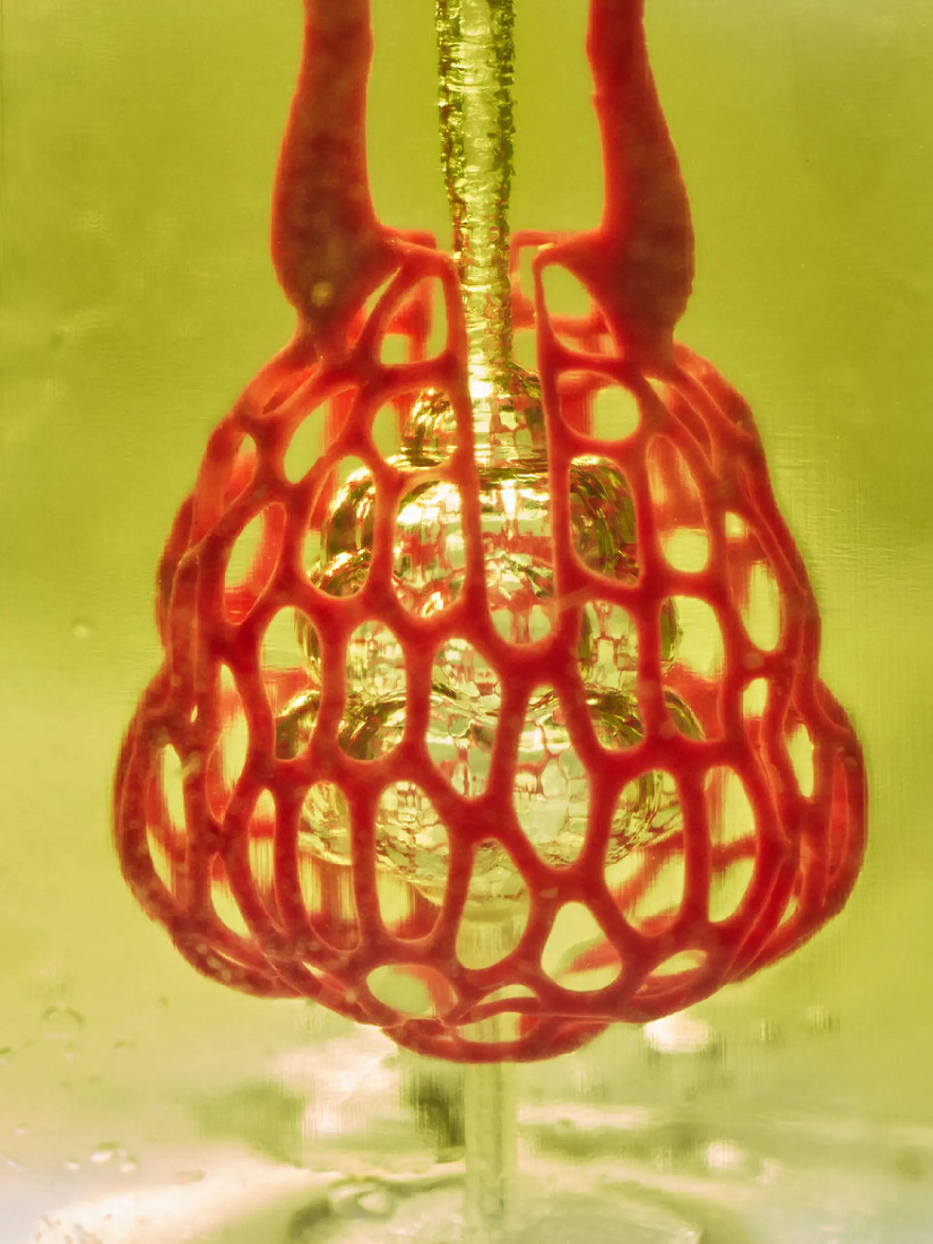 HANDOUT - 10.08.2018, USA, Houston: Das Bild zeigt ein Modell eines lungenähnlichen Luftsacks mit Atemwegen und Blutgefäßen. Amerikanische Biotechnologen haben mit einem neuen 3D-Druck-Verfahren weiche Blutgefäße und Luftwege wie in einer Lunge hergestellt. Sie konnten zeigen, dass die in sogenanntem Hydrogel gefertigten Strukturen in der Lage sind, Blut mit Sauerstoff anzureichern. Eine wichtige Rolle bei dem neuen Ansatz spielt der künstliche Farbstoff Tartrazin (E 102), wie die Gruppe um Jordan Miller von der Rice University in Houston in der Fachzeitschrift «Science» schreibt. Foto: Jordan Miller/Rice University/dpa - ACHTUNG: Nur zur redaktionellen Verwendung im Zusammenhang mit der aktuellen Berichterstattung und nur mit vollständiger Nennung des vorstehenden Credits +++ dpa-Bildfunk +++
