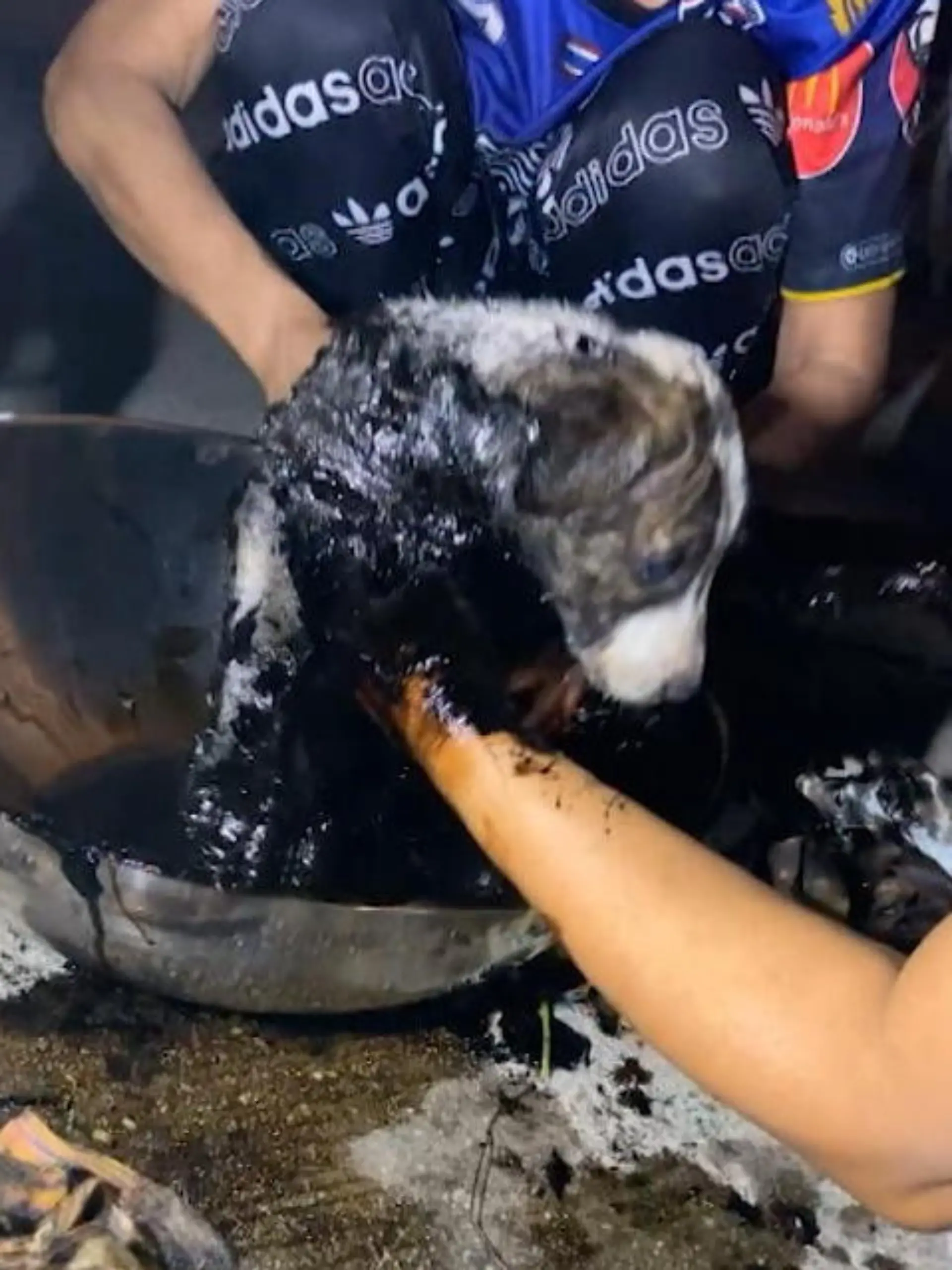 Mit geschmolzenem Teer bedeckt! So haben Passanten den Kleinen Hund im Osten Thailands entdeckt.
Ohne zu zögern ist für sie klar: Sie retten den kleinen Streuner - das sehen Sie im Video.