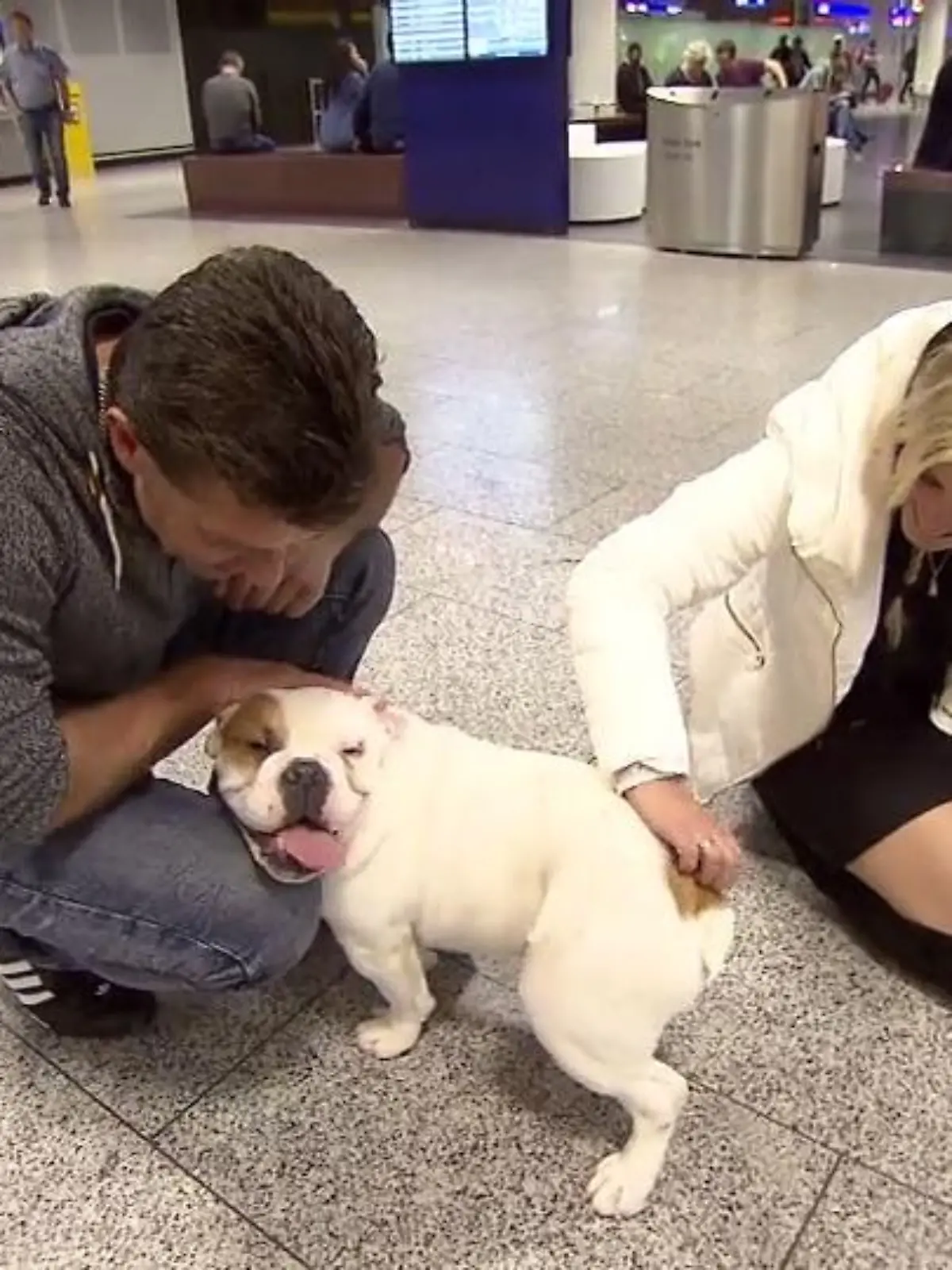 Bild zu: "Klon-Hund „Marlon 2“ ist zu Hause"