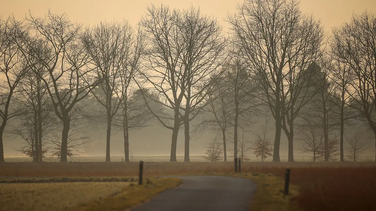 Sahara-Staub kommt auch in Deutschland an. (Archivbild)
