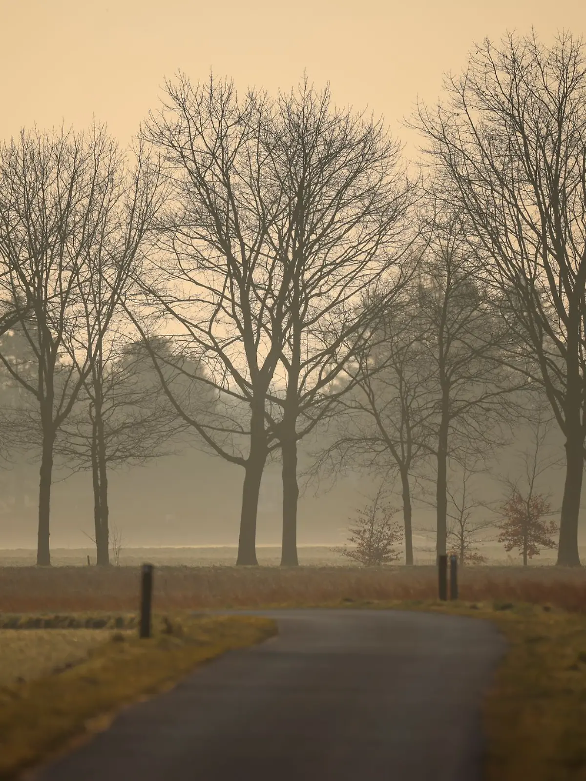Bild zu: "Riesen-Wolke über Deutschland: Jetzt kommt der Saharastaub zu uns!"