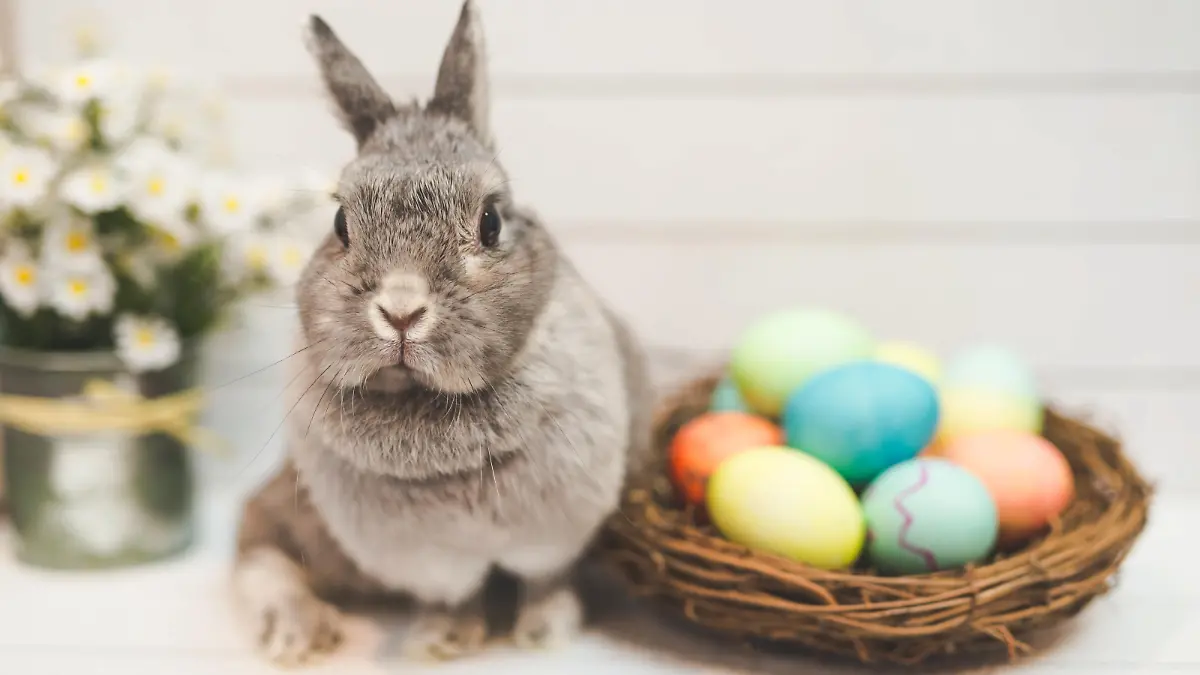 Herkunft des Osterhasen
