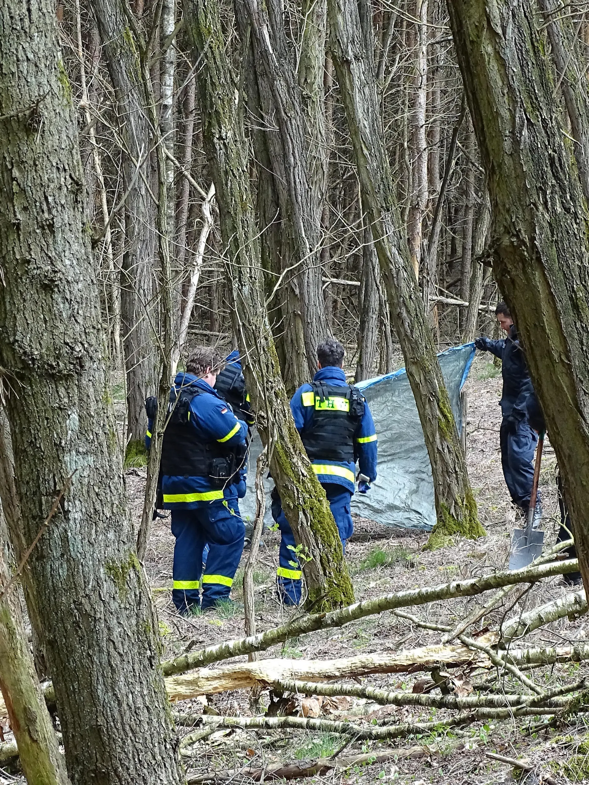 11.04.2019, Brandenburg, Herzberg: Kräfte des Technischen Hilfswerks (THW) und der Polizei suchen in einem Waldstück nahe des Herzberger Sees nach der verschwundenen Schülerin Rebecca. Die 15-Jährige ist seit dem 18. Februar verschwunden. Polizei und Staatsanwaltschaft gehen davon aus, dass die Schülerin Opfer eines Verbrechens wurde. Foto: Toni Feist/dpa-Zentralbild/dpa | Verwendung weltweit
