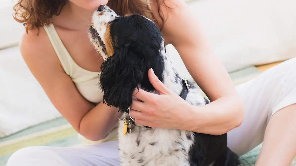 Portrait of young woman playing with dog, Frau spielt mit Hund Keine Weitergabe an Drittverwerter.