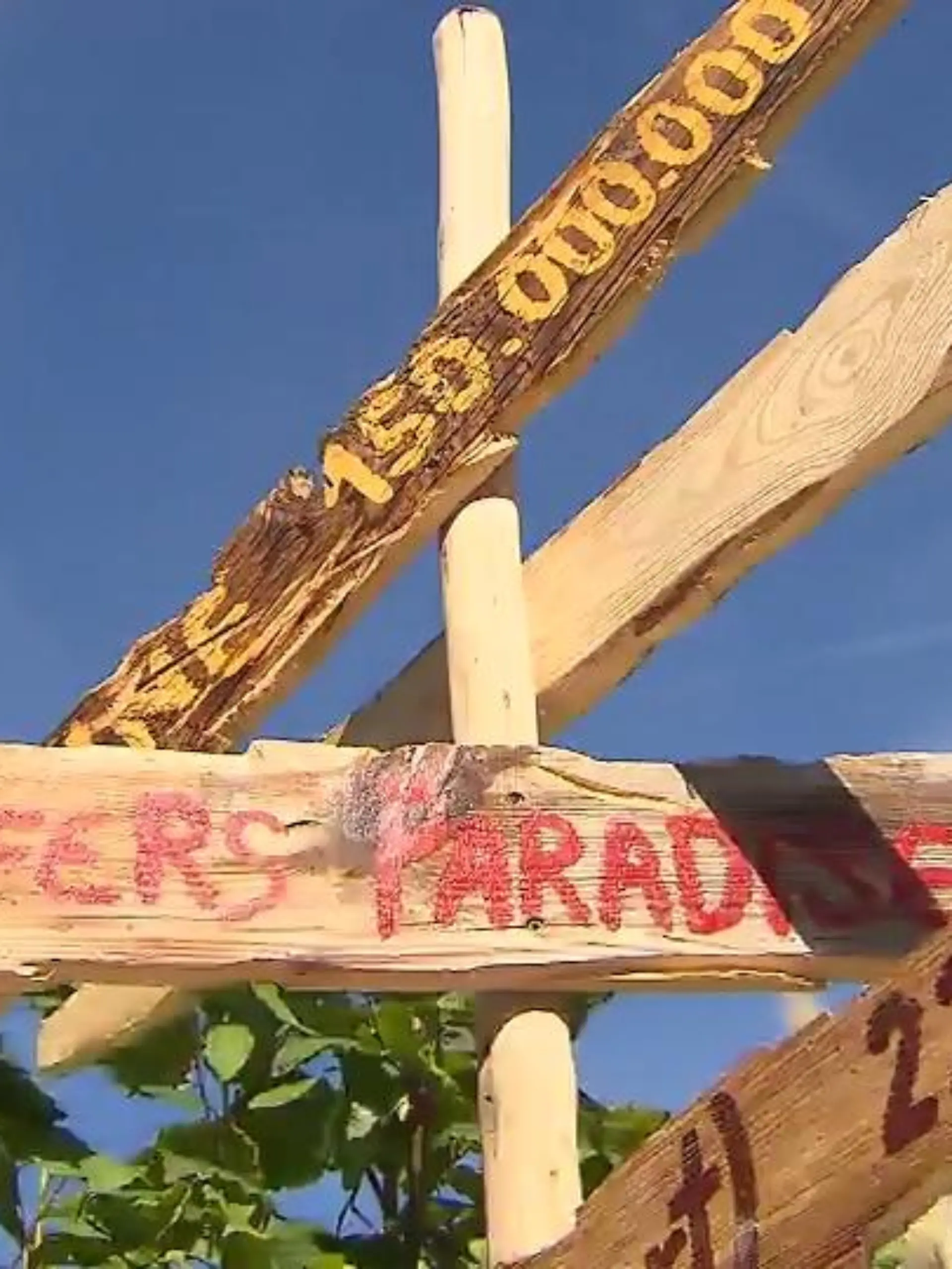 Bild zu: "DIY: Wegweiser für den Garten"
