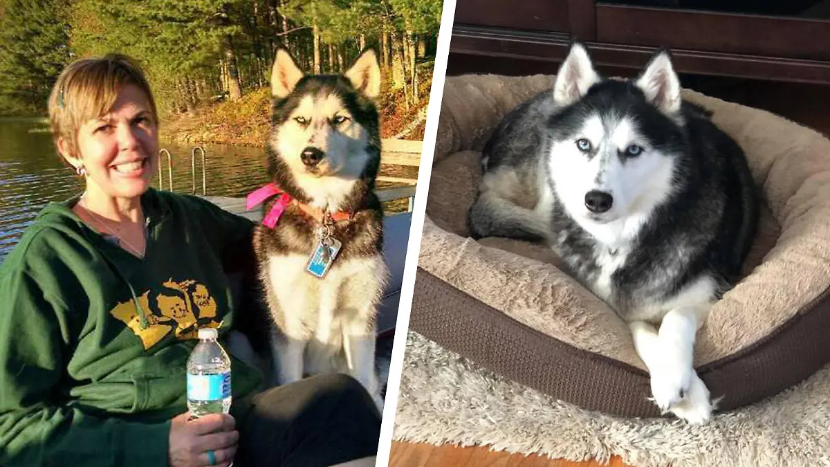 Stephanie Herfel und ihr Hund Sierra