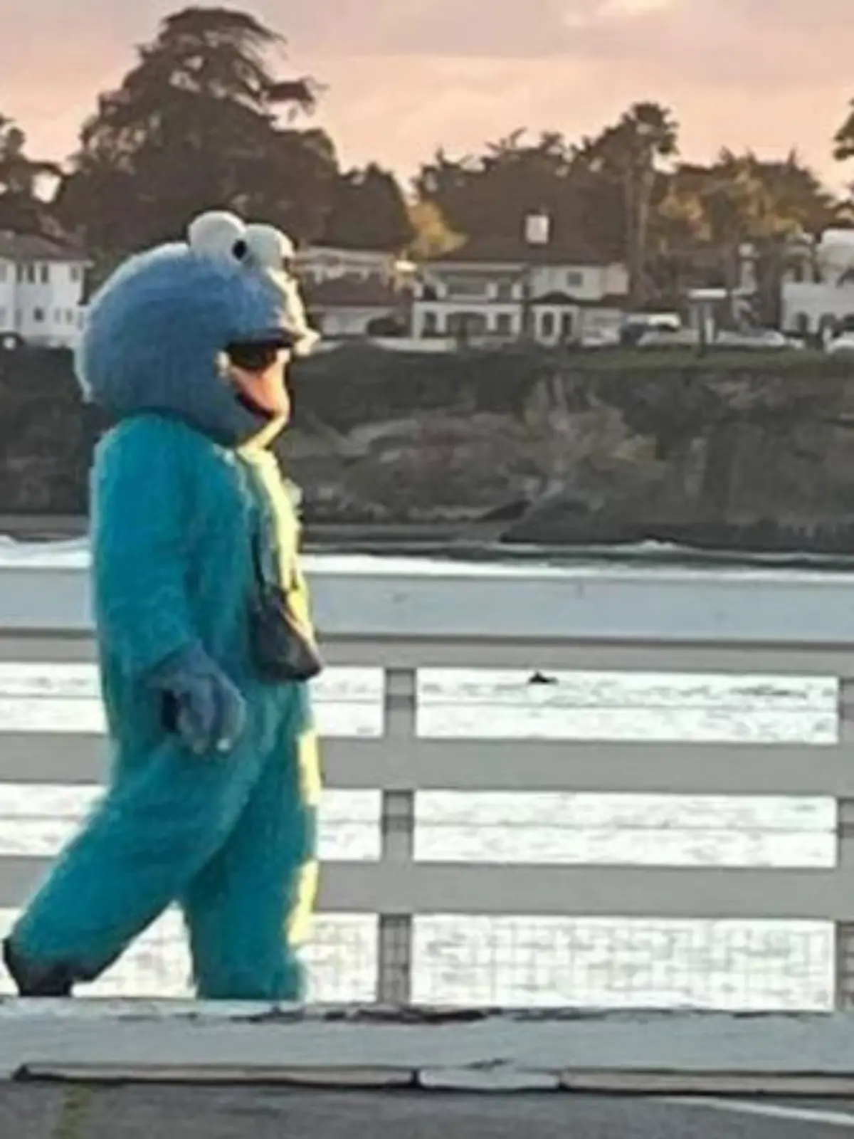 "Creepy"-Krümelmonster