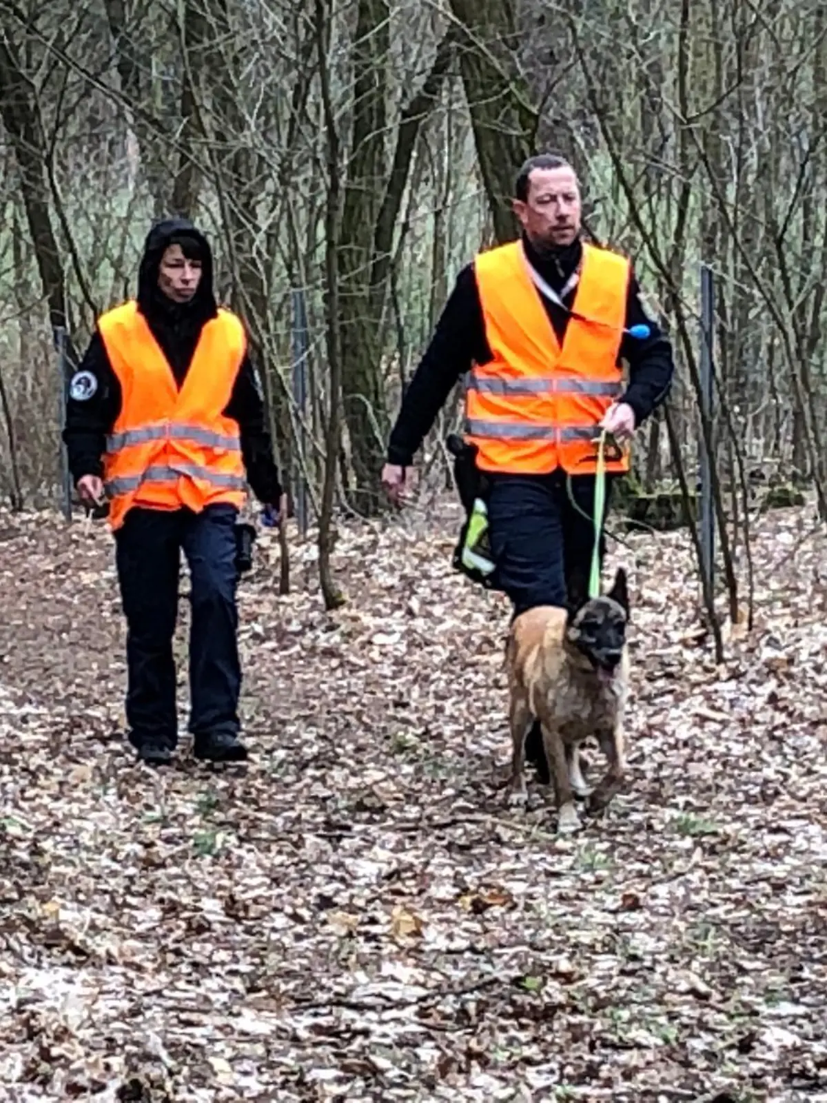 Hier sucht die Polizei den Wald bei Storkow mit Spürhunden ab. Fall Rebecca.
