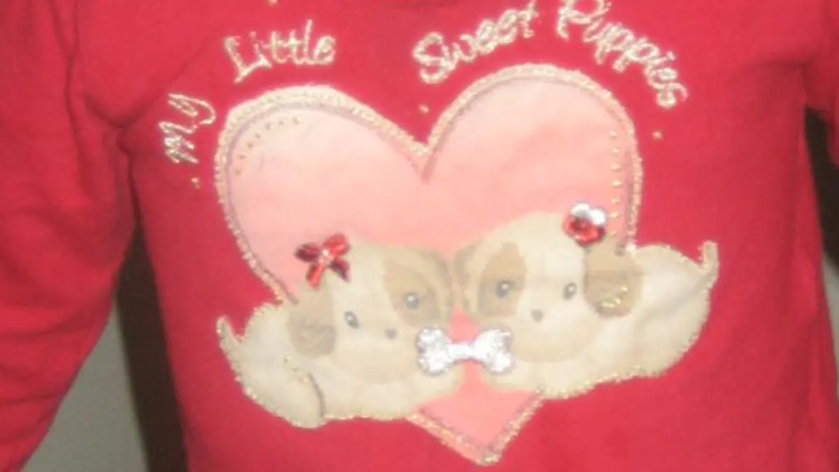 Erkennen Sie dieses Mädchen-Shirt?