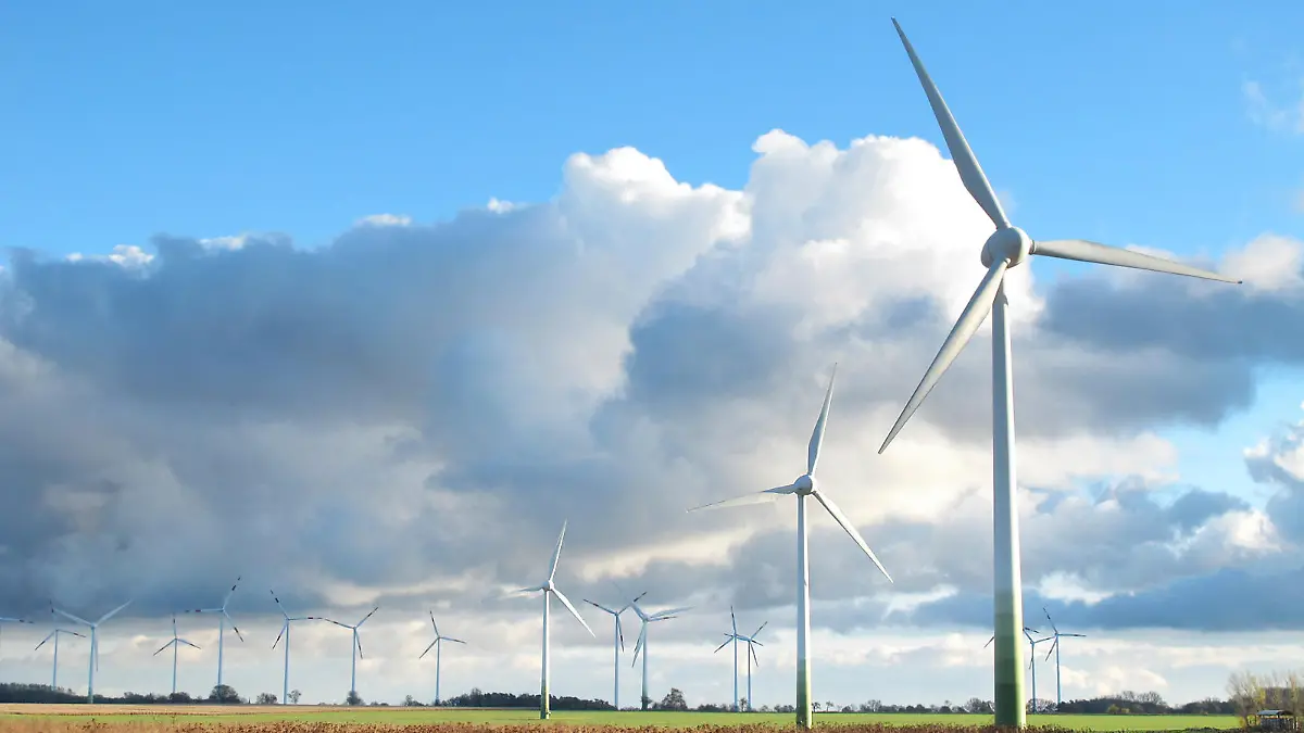 Todesfalle Windräder