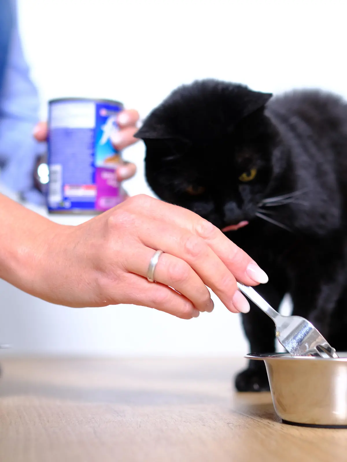 ILLUSTRATION - Eine Frau fuettert am 06.05.2019 in einer Wohnung in Syke (Niedersachsen) ihre Katze (gestellte Szene). Foto: Markus Hibbeler