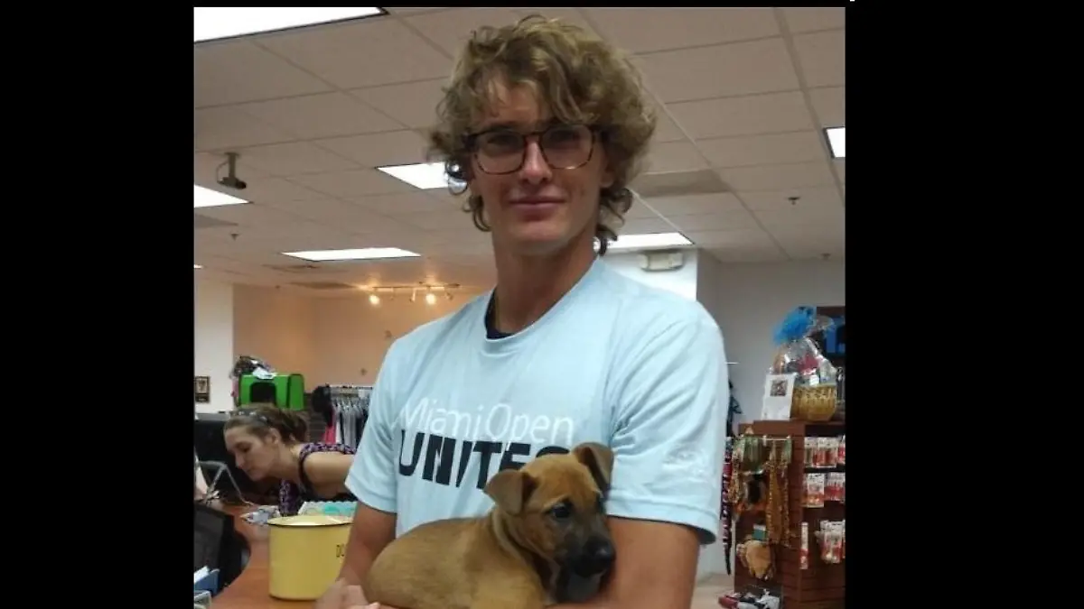 Alexander Zverev mit neuem Hund