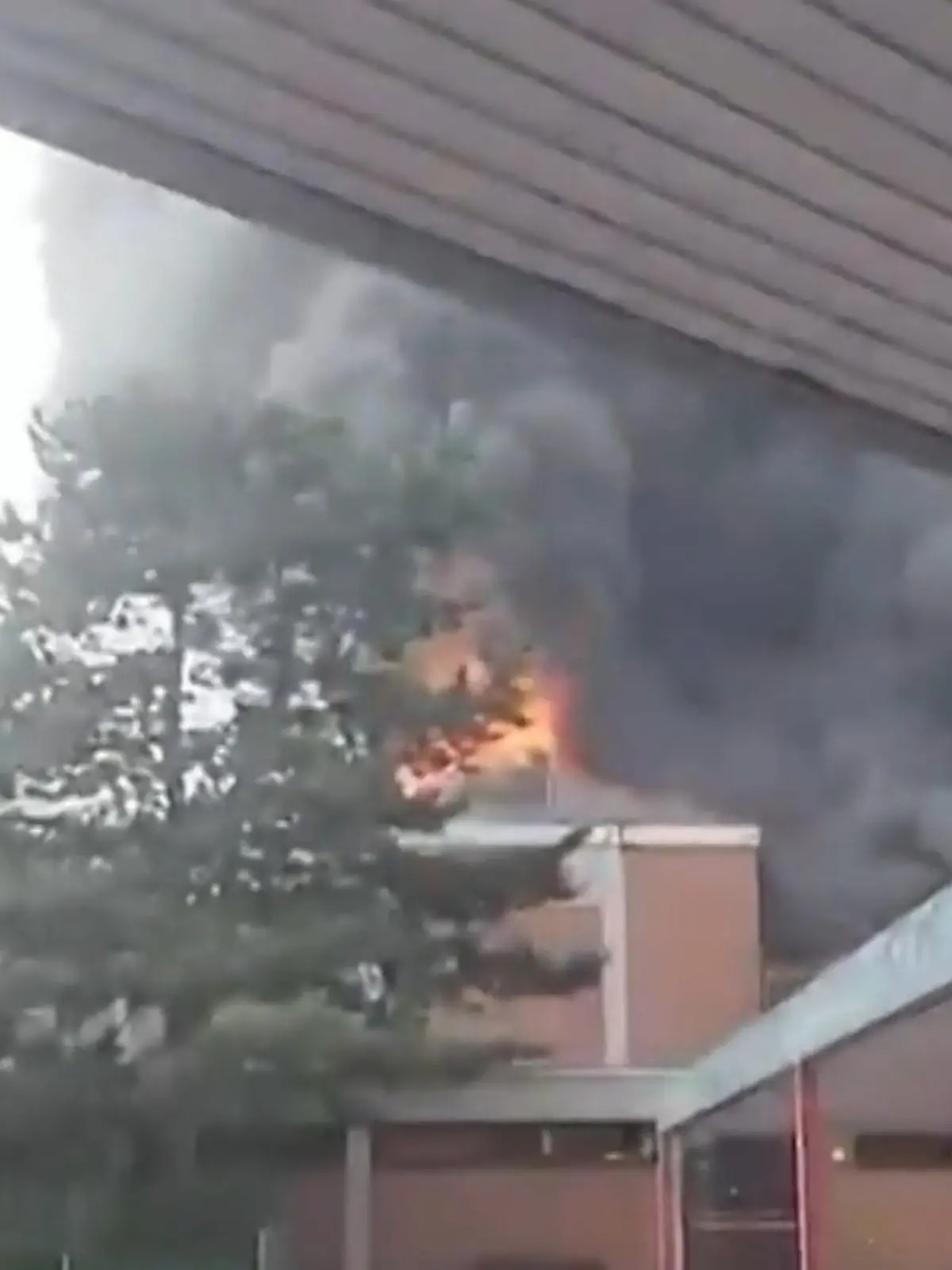 Bild zu: "Setzen Schüler hier ihre Turnhalle in Brand?"