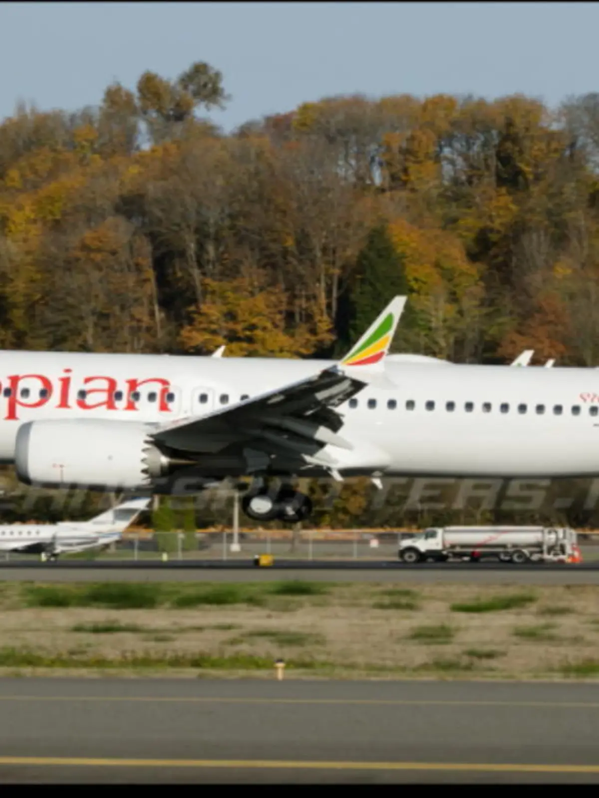 Bild zu: "Flugzeugabsturz: 5 Deutsche unter Opfern"