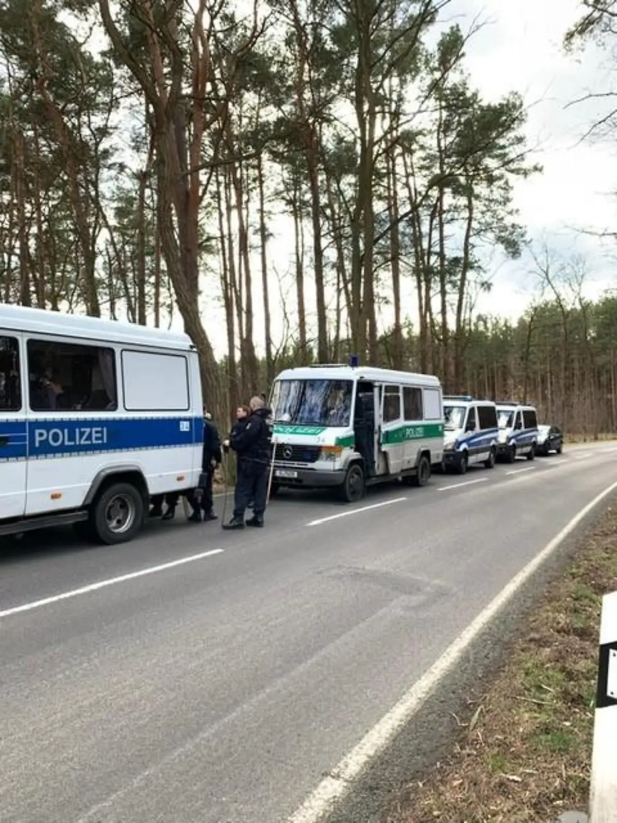Die Berliner Polizei sucht in einem Waldgebiet in Brandenburg  nach Rebecca.