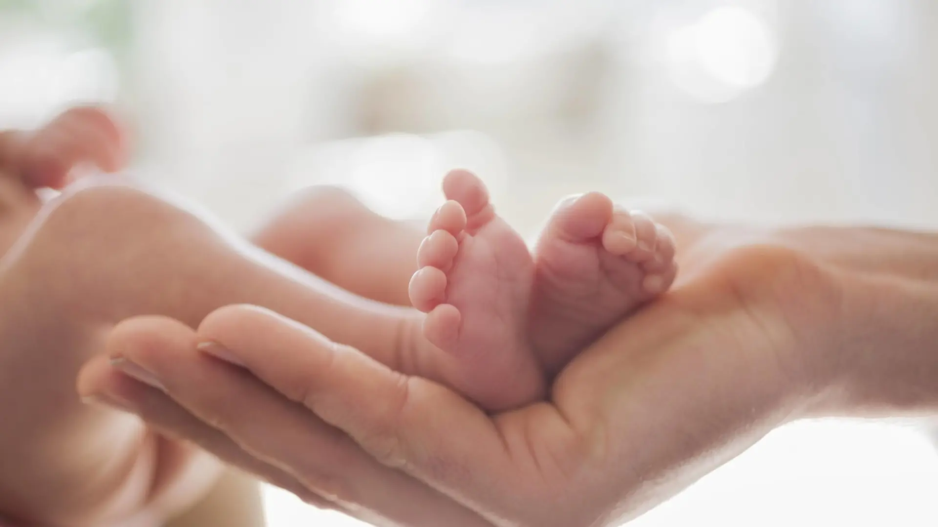 Mother cradling newborn baby s feet Mother cradling newborn baby s feet. PUBLICATIONxINxGERxSUIxHUNxONLY CAIAxIMAGEx/xSCIENCExPHOTOxLIBRARY F013/7186Mother Cradling Newborn Baby S Feet Mother Cradling Newborn Baby S Feet PUBLICATIONxINxGERxSUIxHUNxONLY CAIAxIMAGEx xSCIENCExPHOTOxLIBRARY  