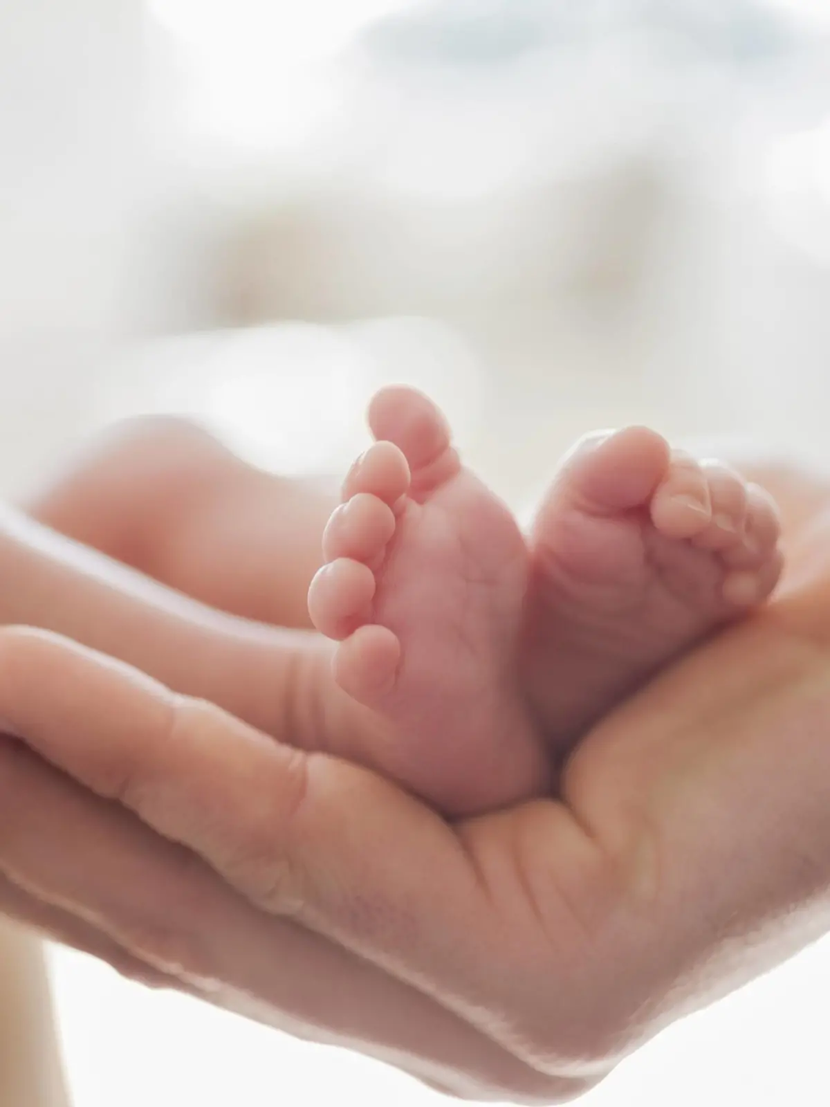 Mother cradling newborn baby s feet Mother cradling newborn baby s feet. PUBLICATIONxINxGERxSUIxHUNxONLY CAIAxIMAGEx/xSCIENCExPHOTOxLIBRARY F013/7186Mother Cradling Newborn Baby S Feet Mother Cradling Newborn Baby S Feet PUBLICATIONxINxGERxSUIxHUNxONLY CAIAxIMAGEx xSCIENCExPHOTOxLIBRARY  