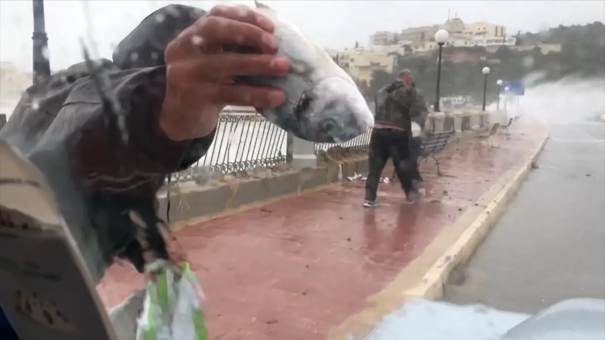 Es regnet Fische auf Malta Heftiger Regen und Sturm am Mittelmeer