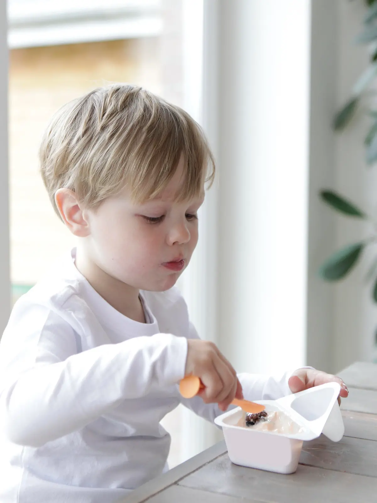 kleinkind junge kind essen Bildverwendung nur mit Urhebervermerk: Pflügler Photo/Shotshop/picture alliance. Keine Exlusivverkäufe möglich. || Modellfreigabe vorhanden
