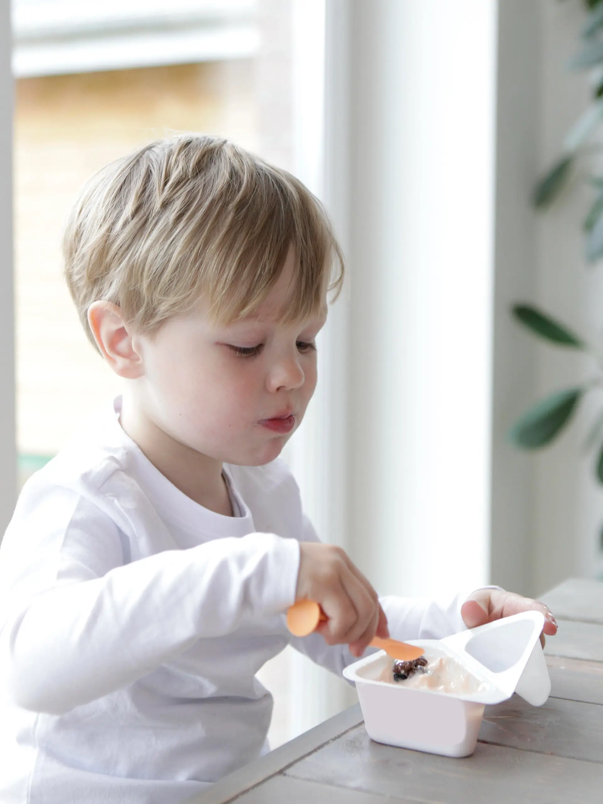 kleinkind junge kind essen Bildverwendung nur mit Urhebervermerk: Pflügler Photo/Shotshop/picture alliance. Keine Exlusivverkäufe möglich. || Modellfreigabe vorhanden