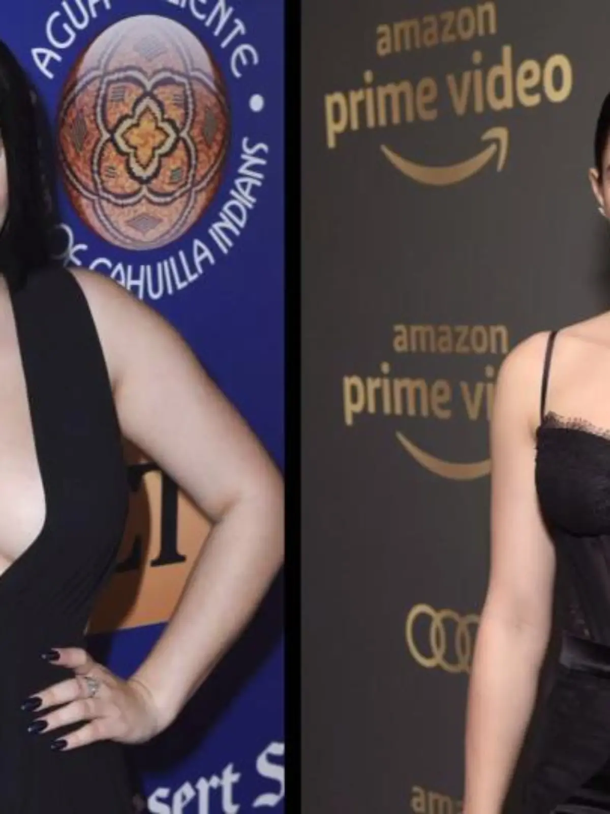 Bild zu: "Ariel Winter wehrt sich gegen Body Shamer"