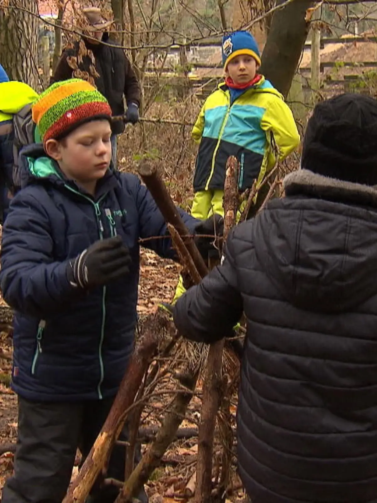 Bild zu: "Wildnis statt Kinderzimmer!"