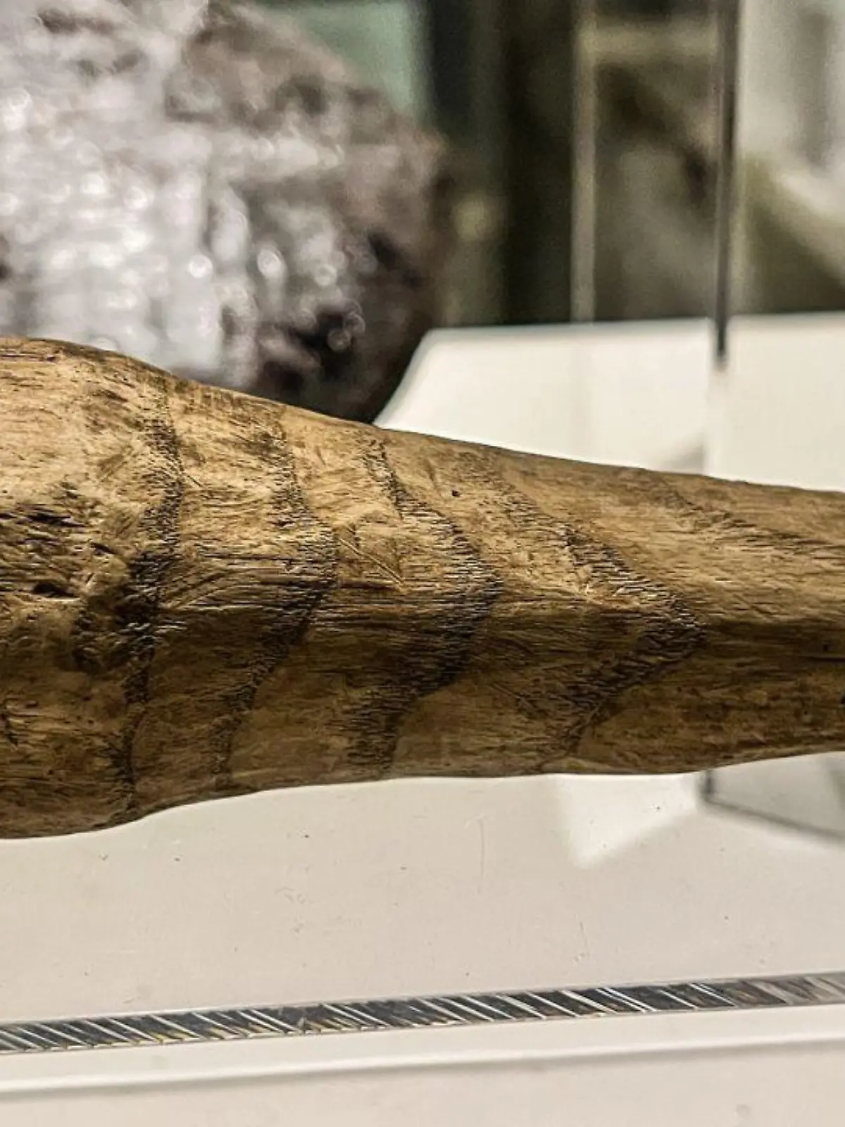 Holzpenis Römer