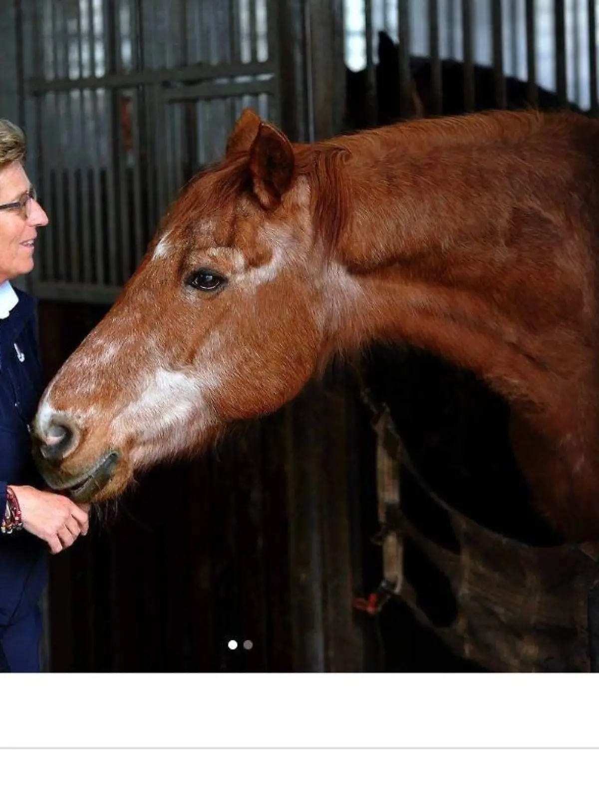 Heike Kemmer trauert um ihren Hengst Bonaparte